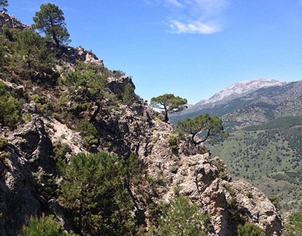 Det enmotoriga flygplanet st&ouml;rtade i den sv&aring;rtillg&auml;ngliga naturparken Sierra Tejeda.