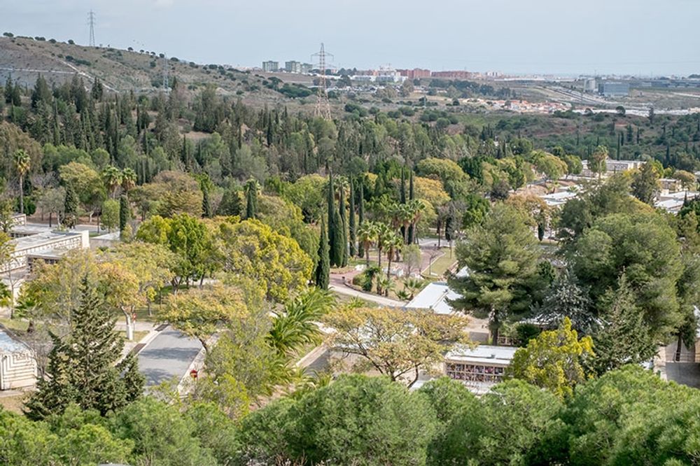 Den kommunala kyrkog&aring;rden Parcemasa i M&aacute;laga.