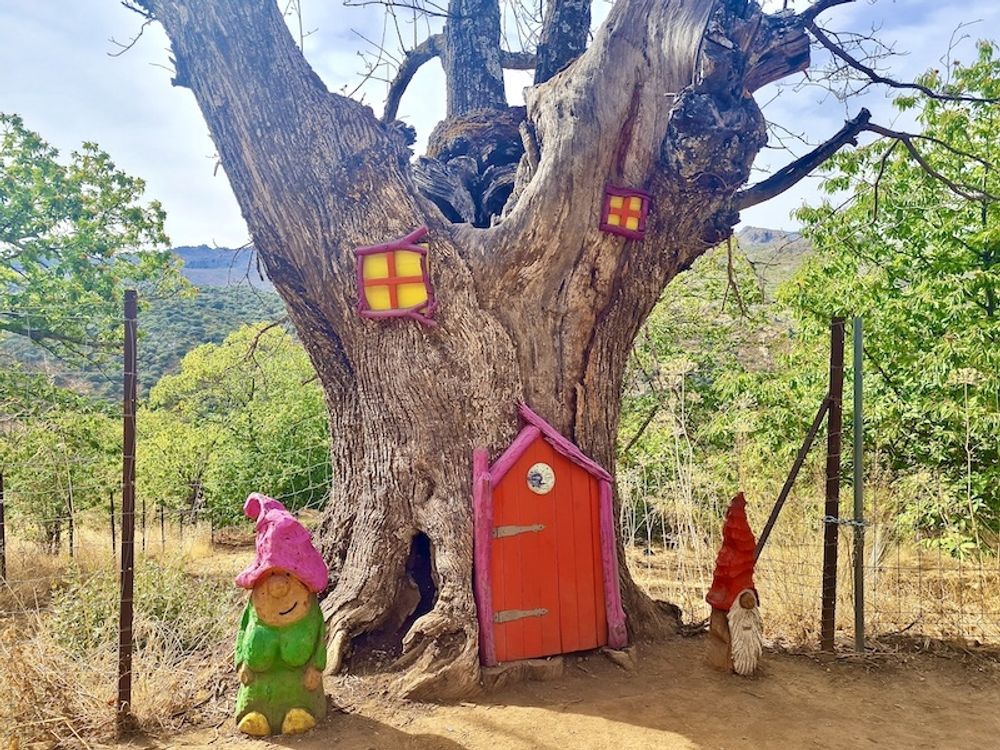 El Bosque Encantado (Den f&ouml;rtrollade skogen) &auml;r en kort vandringsled i byn Parauta med barnv&auml;nliga skulpturer i naturen av konstn&auml;ren Diego Guerrero.