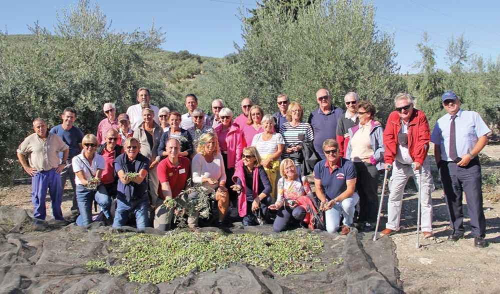&Aring;rets sk&ouml;rderesa startade vid den historiska olivg&aring;rden La Almedina (Cazorla), d&auml;r baronen F&eacute;lix agerade v&auml;rd och organiserade sk&ouml;rd. Oliverna skakades fr&aring;n tr&auml;den b&aring;de med maskin och med stavar.