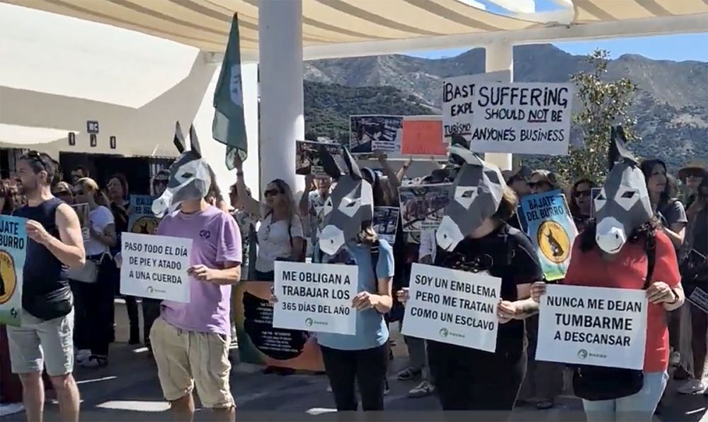 Enligt djurskyddspartiet Pacma var det hundratals personer som demonstrerade i Mijas Pueblo mot &aring;snetaxi. Foto: @PartidoPACMA