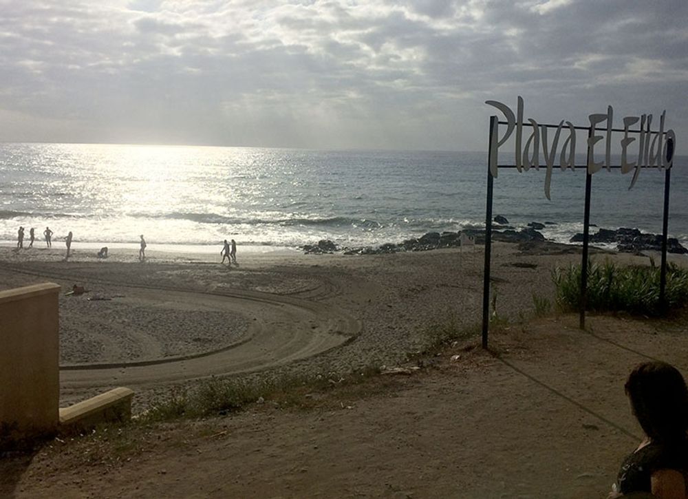 I Fuengirola finns s&aring;v&auml;l s&auml;rskilda str&auml;nder som parker f&ouml;r hundar, och dessa &auml;r dessutom v&auml;lkomna s&aring;v&auml;l i kommunaltrafiken som i m&aring;nga offentliga lokaler.