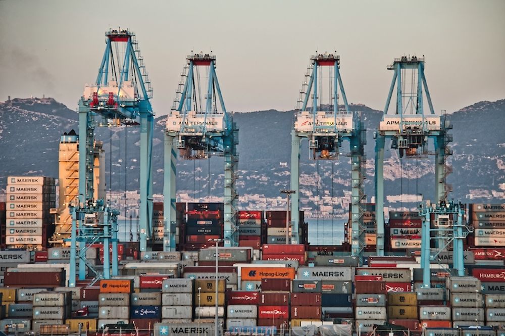 Andalusien avser &ouml;ka antalet exportf&ouml;retag med 32 procent de kommande sju &aring;ren.
