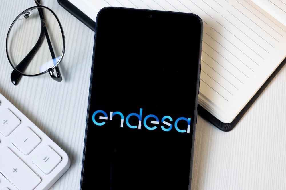 Endesa uppger att ans&ouml;kningarna hanteras enligt k&ouml;princip, vilket g&ouml;r att omr&aring;det inte kan prioriteras nu.