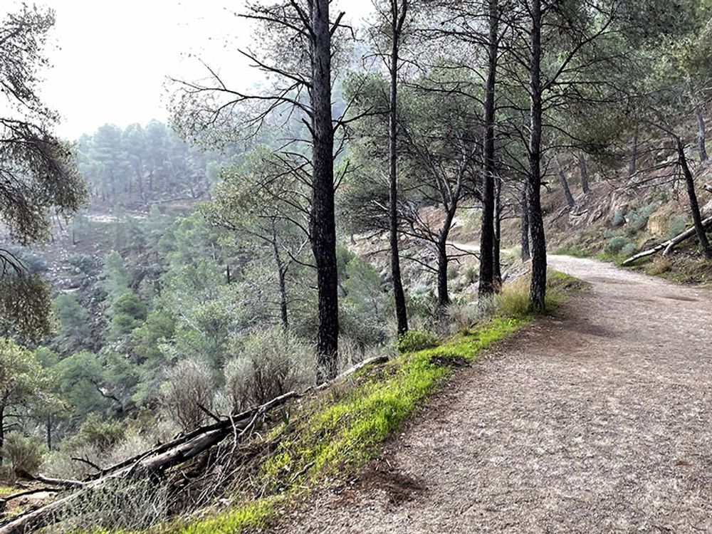 Olyckan intr&auml;ffade vid stigen som leder mot ing&aring;ngen till Caminito del Rey. (Arkivbild)