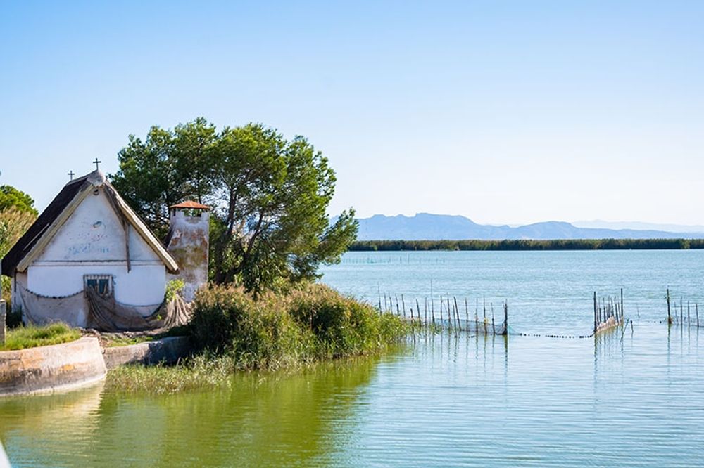 Stora m&auml;ngder l&auml;ckt avloppsvatten hotar bland annat v&aring;tmarksomr&aring;det La Albufera, som &auml;r k&auml;nt f&ouml;r sin biologiska m&aring;ngfald.