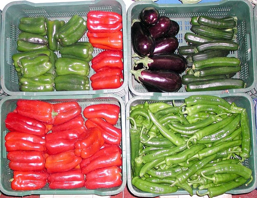 En av Spaniens fr&auml;msta och v&auml;xande exportprodukter &auml;r livsmedel.