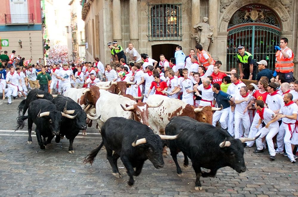 Under &aring;tta dagar i juli varje &aring;r organiseras tjurrusningar i Pamplona.