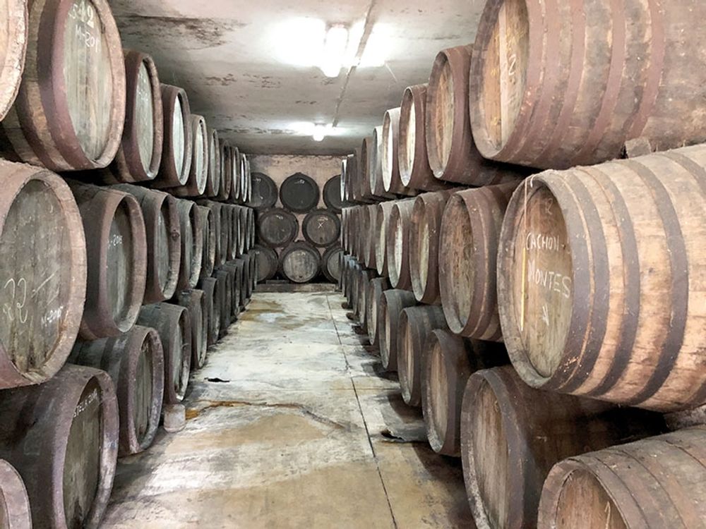 P&aring; en sl&auml;ttplat&aring; 480 meter &ouml;ver havet, nedanf&ouml;r bergsmassivet Sierras de M&aacute;laga, odlas p&aring; 15 hektar druvorna Pedro Ximenez, moscatel, cabernet sauvignon och syrah. P&aring; Finca La Fuente g&ouml;rs b&aring;de viner med sherrykarakt&auml;r och vanliga vita och r&ouml;da viner. Foto: Bj&ouml;rn Andersson