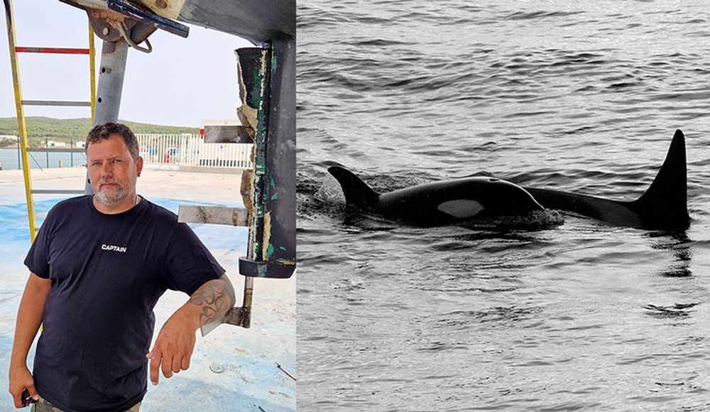 Kent Yrjas konstaterar att skadorna p&aring; hans segelb&aring;t efter attacken av sp&auml;ckhuggare 26 juni utanf&ouml;r den spanska sydkusten kostar mer &auml;n sj&auml;lva b&aring;ten. Dessutom v&auml;grar Folksam t&auml;cka kostnaderna. Foto: Privat/Shutterstock