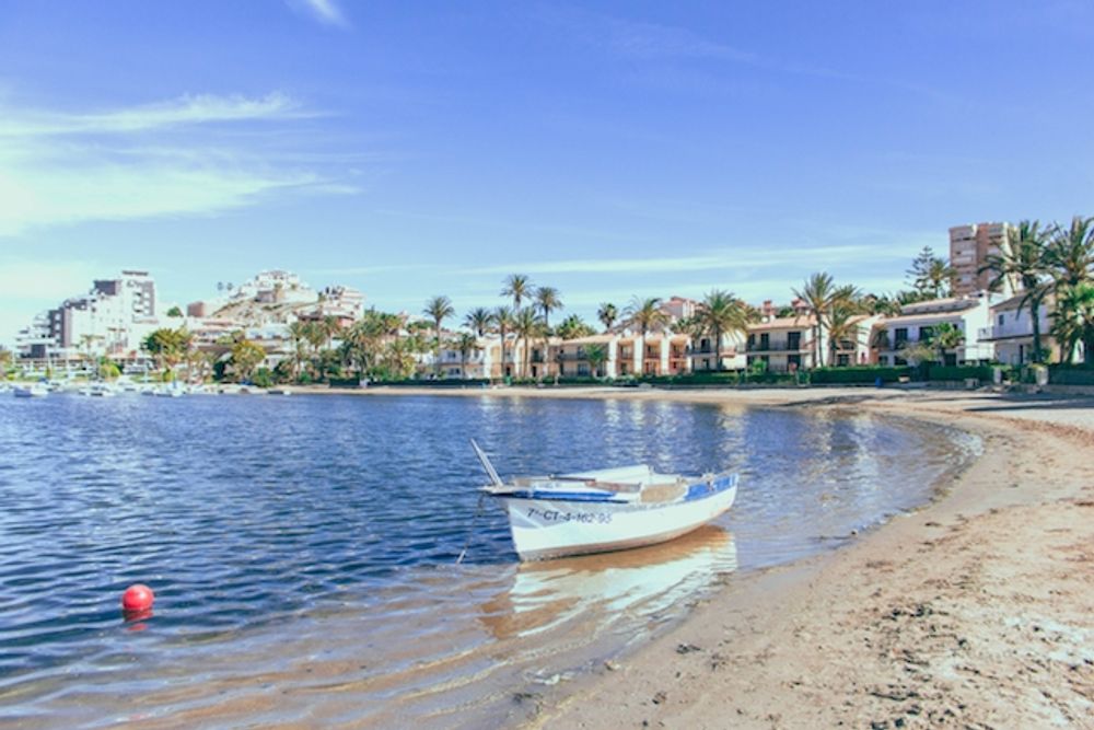 Sju dagar i rad har tusentals d&ouml;da fiskar flutit upp p&aring; ytan vid Mar Menor.