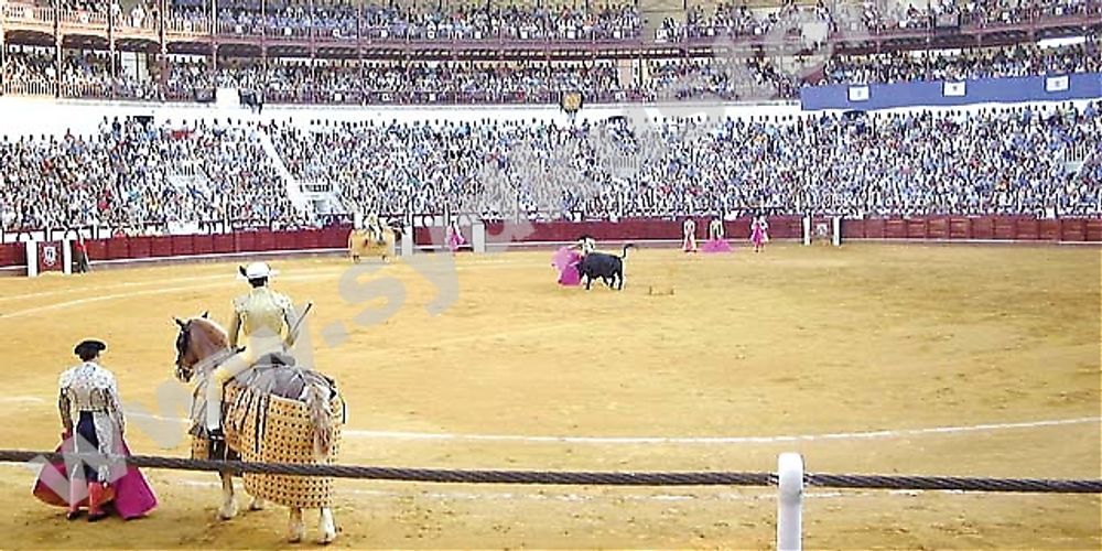Sune Larsson anser att redan en tjurf&auml;ktningsarena i M&aacute;laga &auml;r en f&ouml;r mycket. Han kan inte f&ouml;rst&aring; att det fortfarande accepteras att djur pl&aring;gas till d&ouml;ds f&ouml;r n&ouml;jes skull.