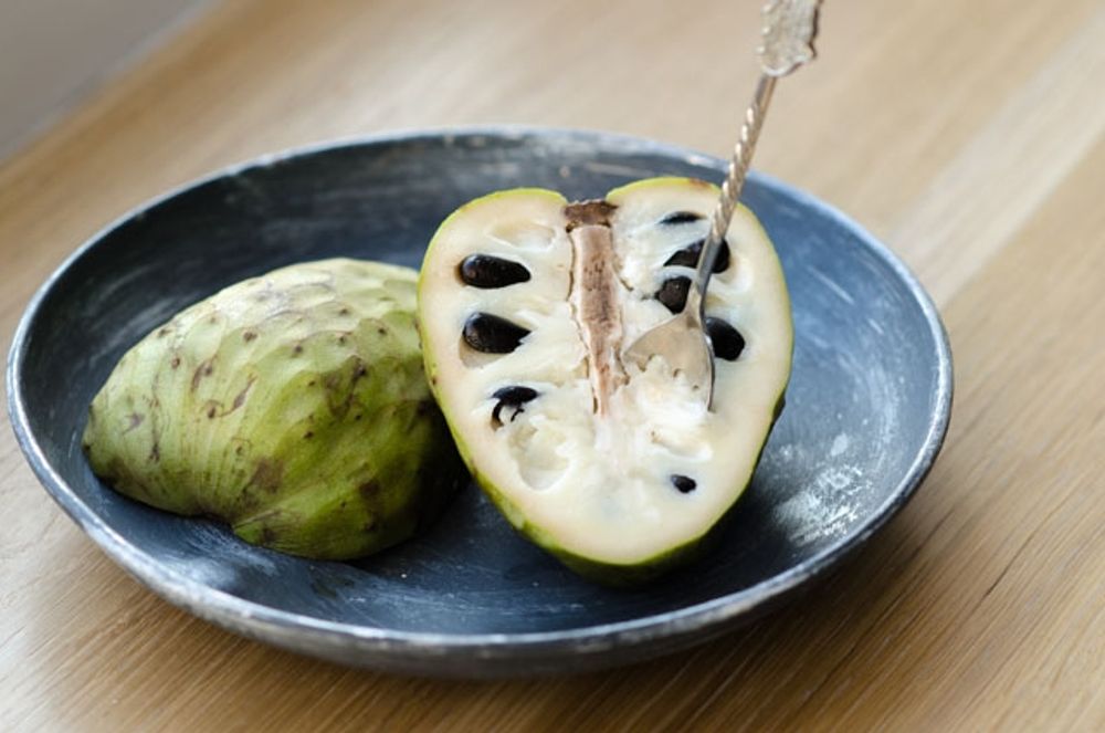 Almu&ntilde;&eacute;car kommun bj&ouml;d nordiska researrang&ouml;rer p&aring; lokala specialiteter som chirimoya, i f&ouml;rhoppningen att bes&ouml;ket ska b&auml;ra frukt.
