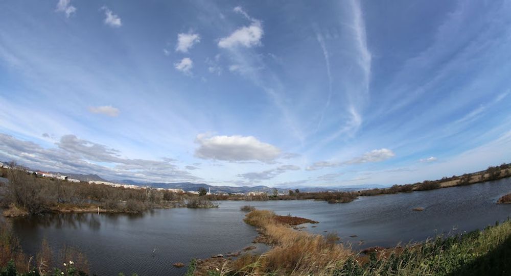 M&aacute;lagas provinsstyrelse har dragit ig&aring;ng ett storskaligt projekt som g&aring;r ut p&aring; att skapa en gr&ouml;n korridor i Guadalhorcedalen, Spaniens st&ouml;rsta flodpark p&aring; totalt 450 hektar. Foto: Diputaci&oacute;n de M&aacute;laga