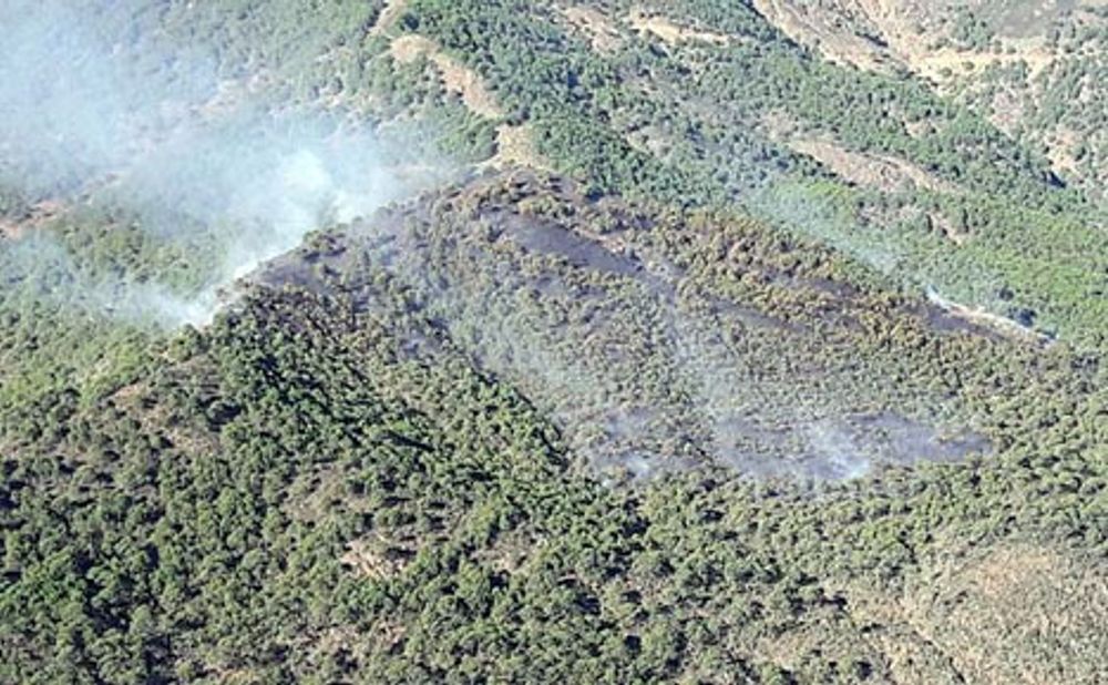 Branden omfattar fr&auml;mst pinjetr&auml;d i ett sv&aring;rtillg&auml;ngligt bergsomr&aring;de. Foto: Infoca