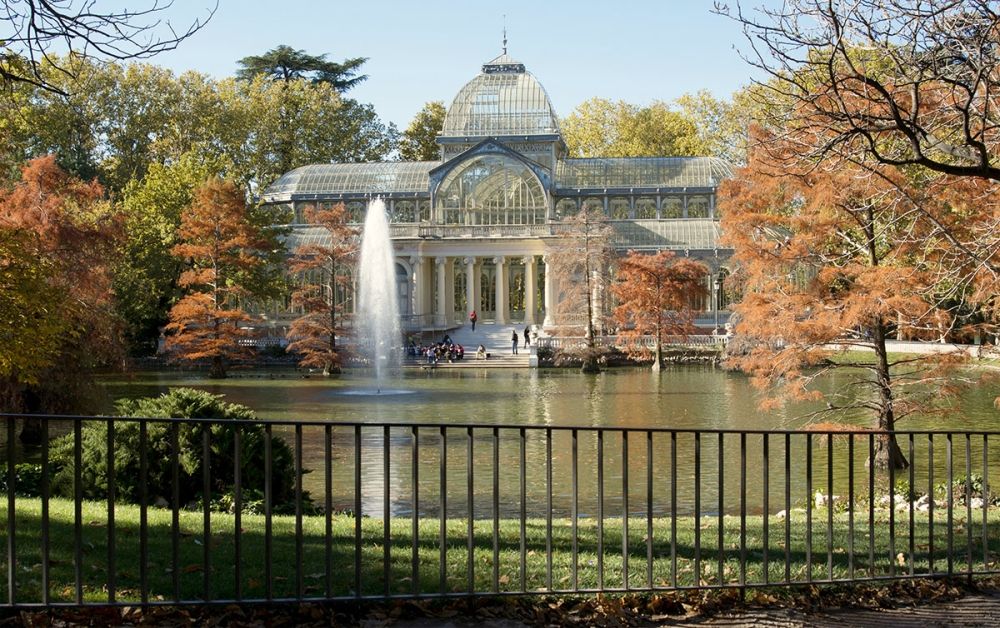 Ett fall av f&aring;gelinfluensa i en p&aring;f&aring;gel i Madrids st&ouml;rsta stadspark har lett till skydds&aring;tg&auml;rder, men myndigheterna bed&ouml;mer att allm&auml;nheten inte l&ouml;per n&aring;gon akut risk.