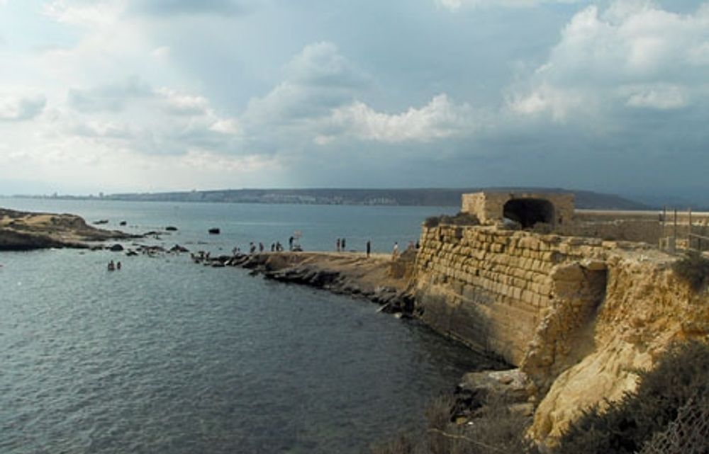 Bl&aring;hajen s&aring;gs senast vid Isla de Tabarca, &aring;tta kilometer fr&aring;n d&auml;r attacken &auml;gde rum. Foto: Claudia Ba&ntilde;&oacute;n/Wikimedia Commons