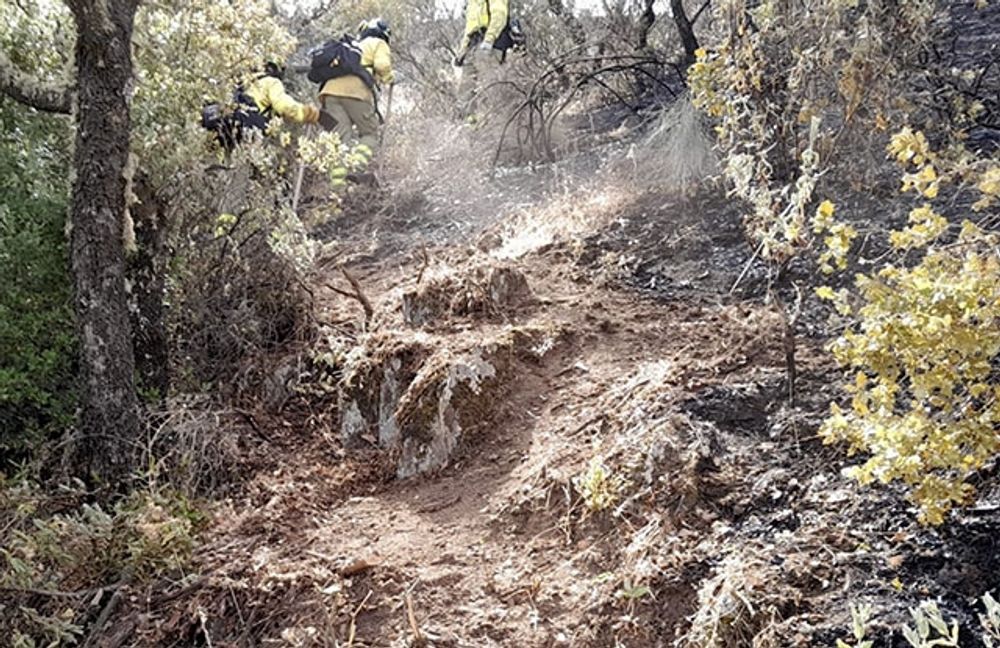 Bek&auml;mpningsarbetet i omr&aring;det fortsatte mer &auml;n en vecka efter att branden hamnat under kontroll. Foto: INFOCA