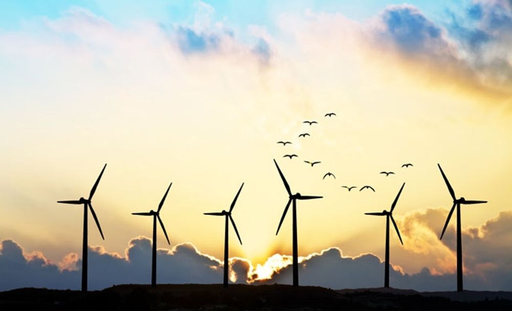 Billiga f&ouml;rnyelsebara energik&auml;llor som vindkraft har en l&auml;gre tid haft s&aring; kallade &rdquo;int&auml;kter fr&aring;n himlen&rdquo;, tack vare att bolagen betalats &ouml;verpriser.