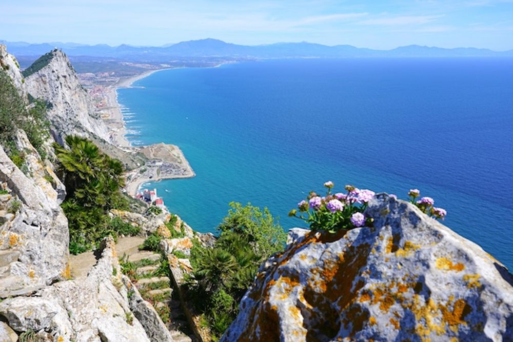 Det havererade fartyget ligger strandat 700 meter utanf&ouml;r Gibraltars &ouml;stra sida, n&auml;ra La L&iacute;nea de la Concepci&oacute;n. (Arkivbild)