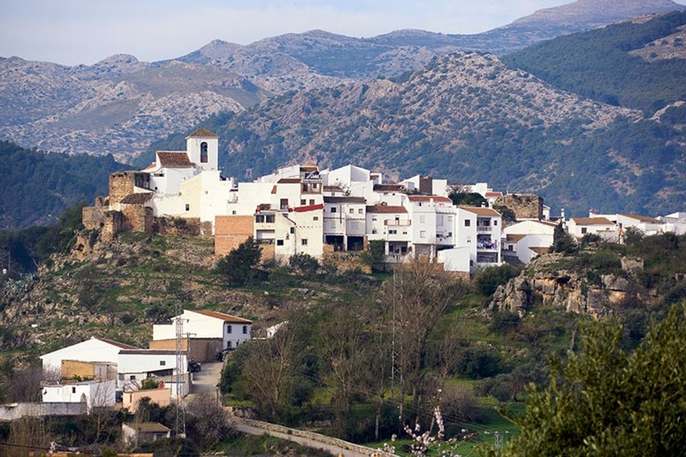 Den nu h&auml;ktade pr&auml;sten &auml;r bosatt i V&eacute;lez-M&aacute;laga och verkade sedan januari i bland annat byn El Burgo.