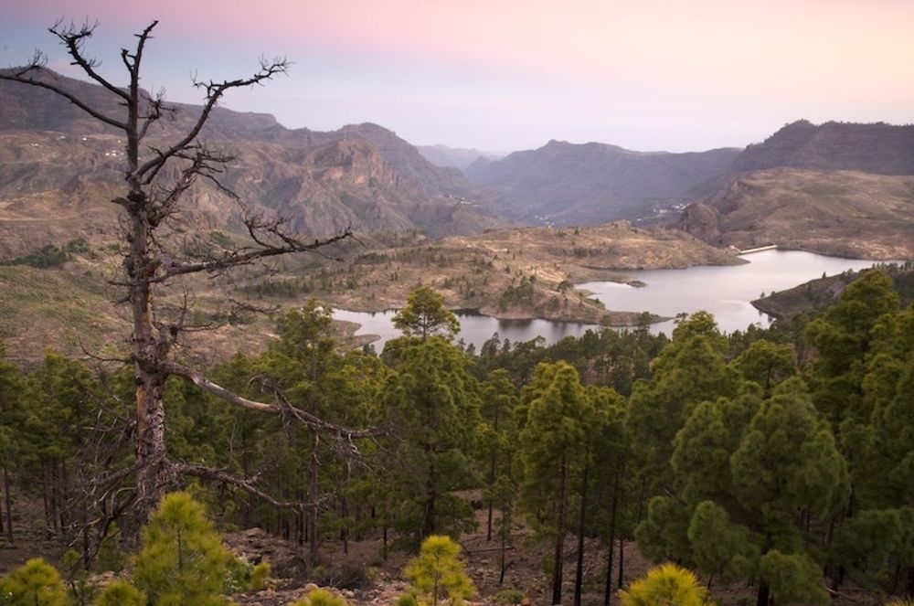 Arkivbild p&aring; reservoaren Las Ni&ntilde;as, p&aring; Gran Canaria.