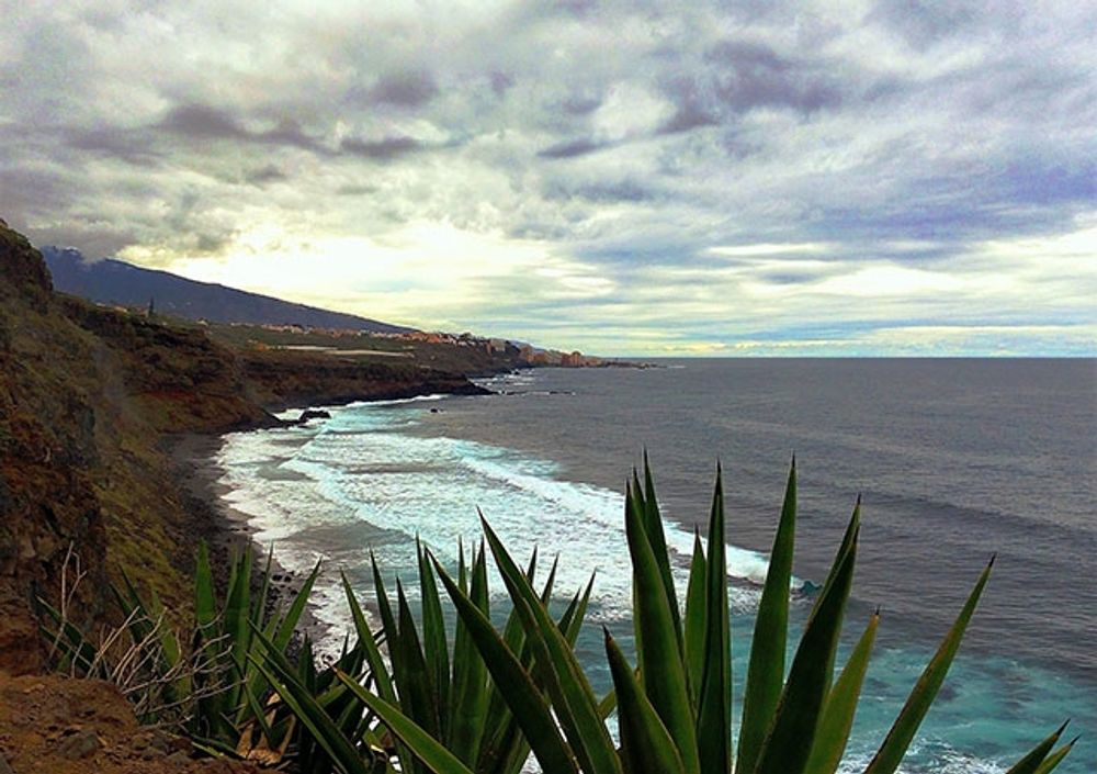Ett av d&ouml;dsoffren &auml;r en polsk man som drunknade vid Playa del Anc&oacute;n, p&aring; Tenerife.