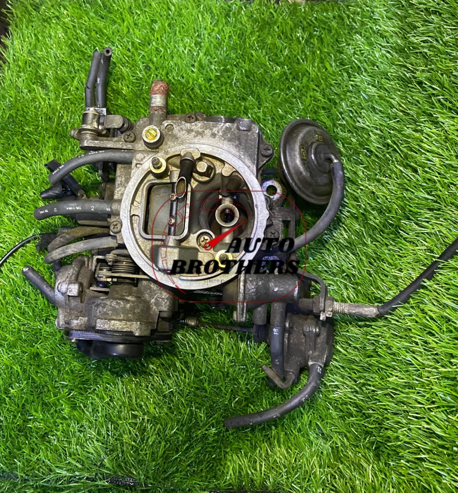 Dolphin civic carborator 