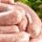 Pork sausages