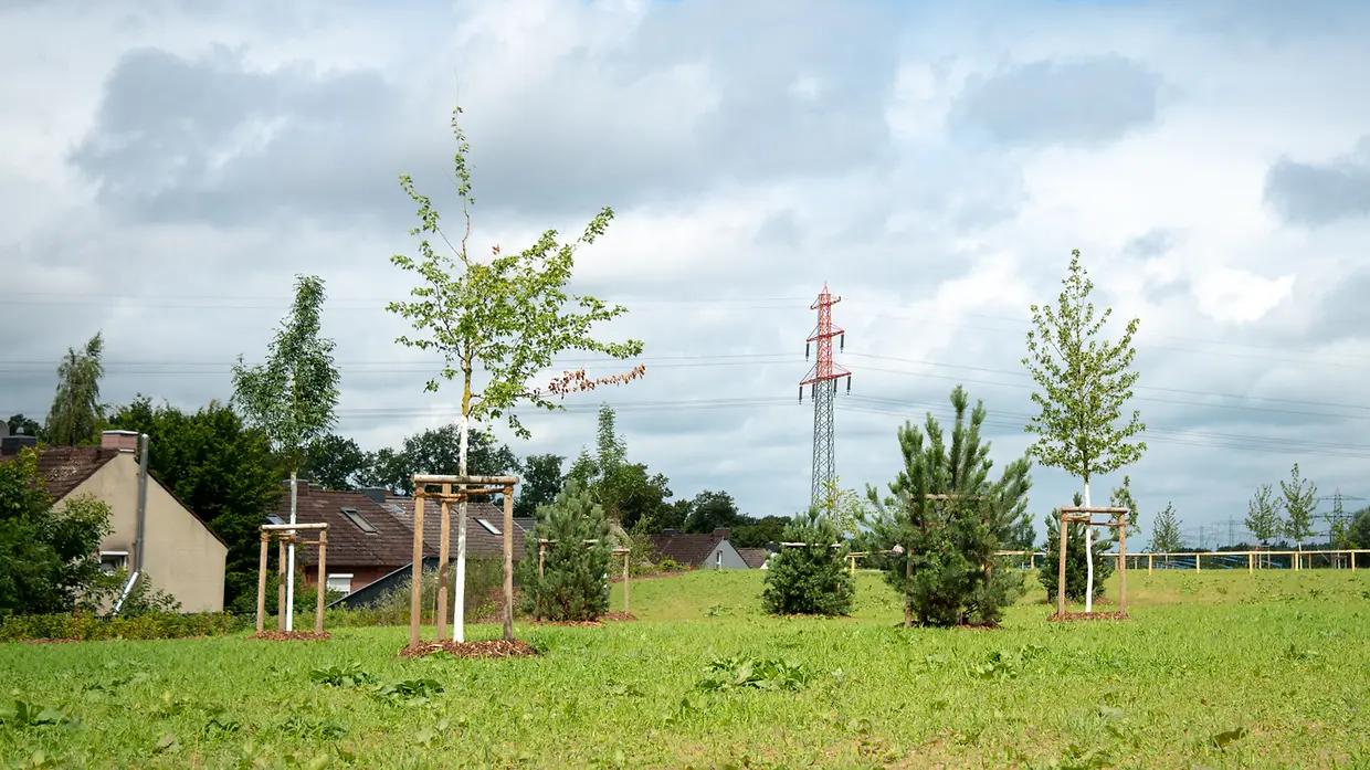 Parc aménagé au-dessus du tunnel de l’autoroute A7 à Stellingen, Hambourg.