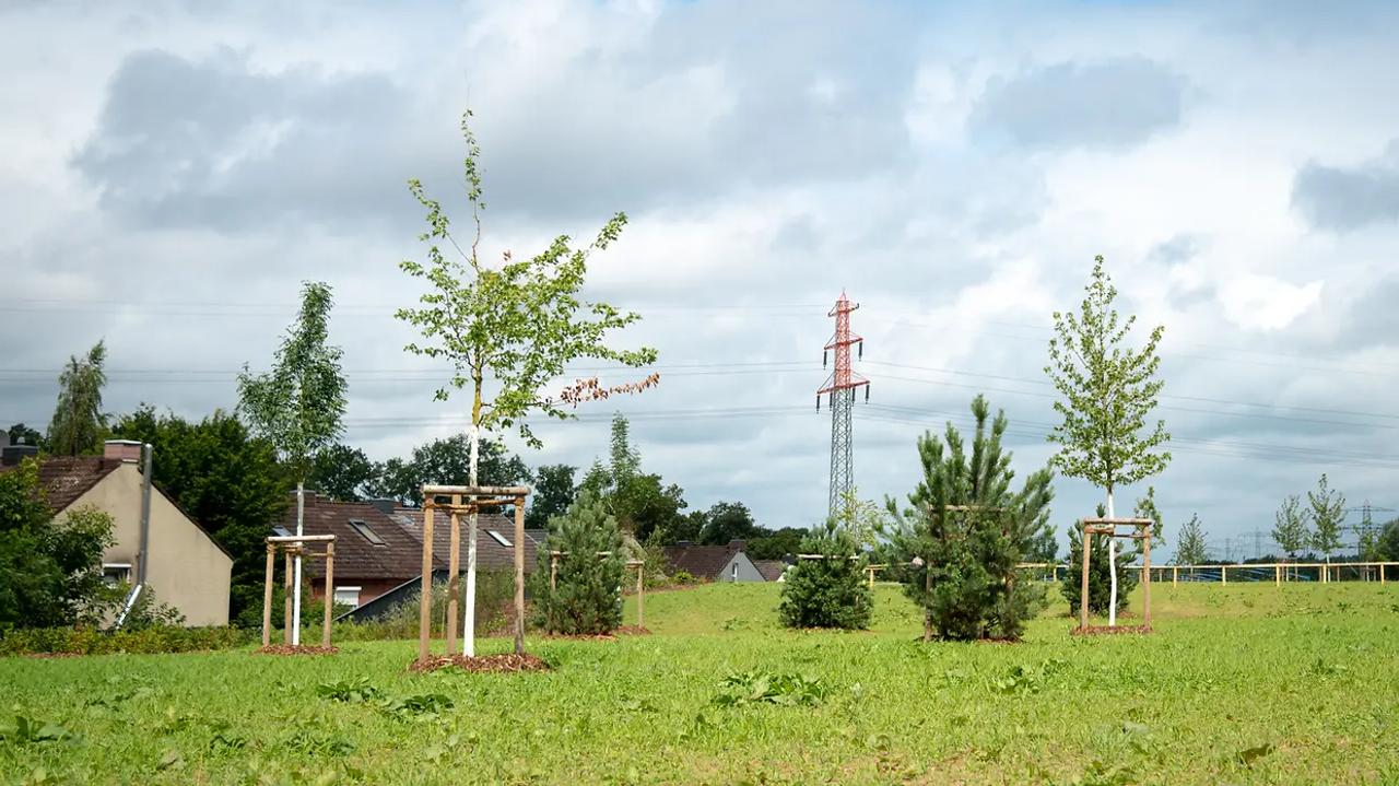 Parc aménagé au-dessus du tunnel de l’autoroute A7 à Stellingen, Hambourg.