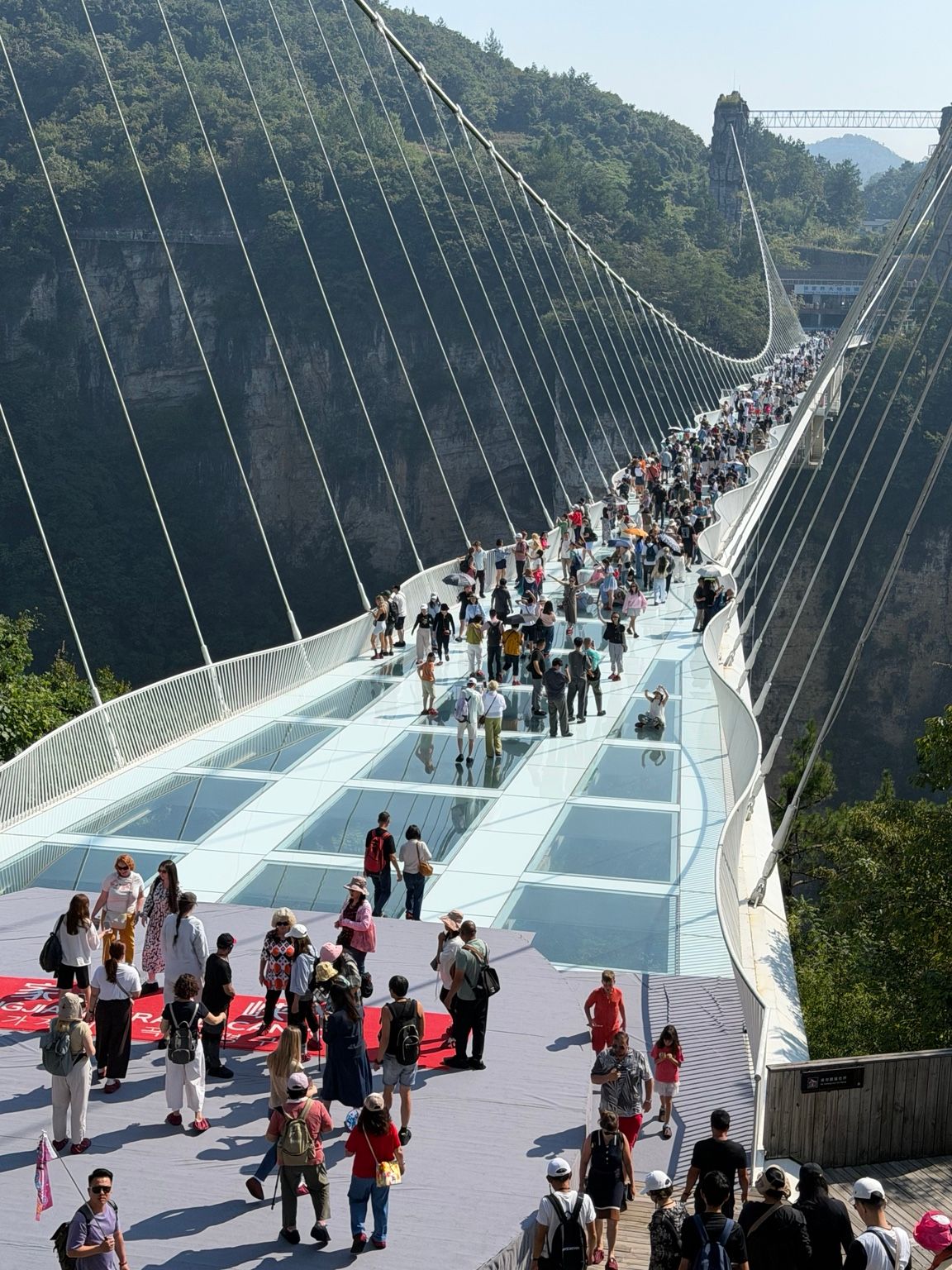 Perspective du Zhangjiajie Grand Canyon Glass Bridge suspendu au-dessus du canyon.
