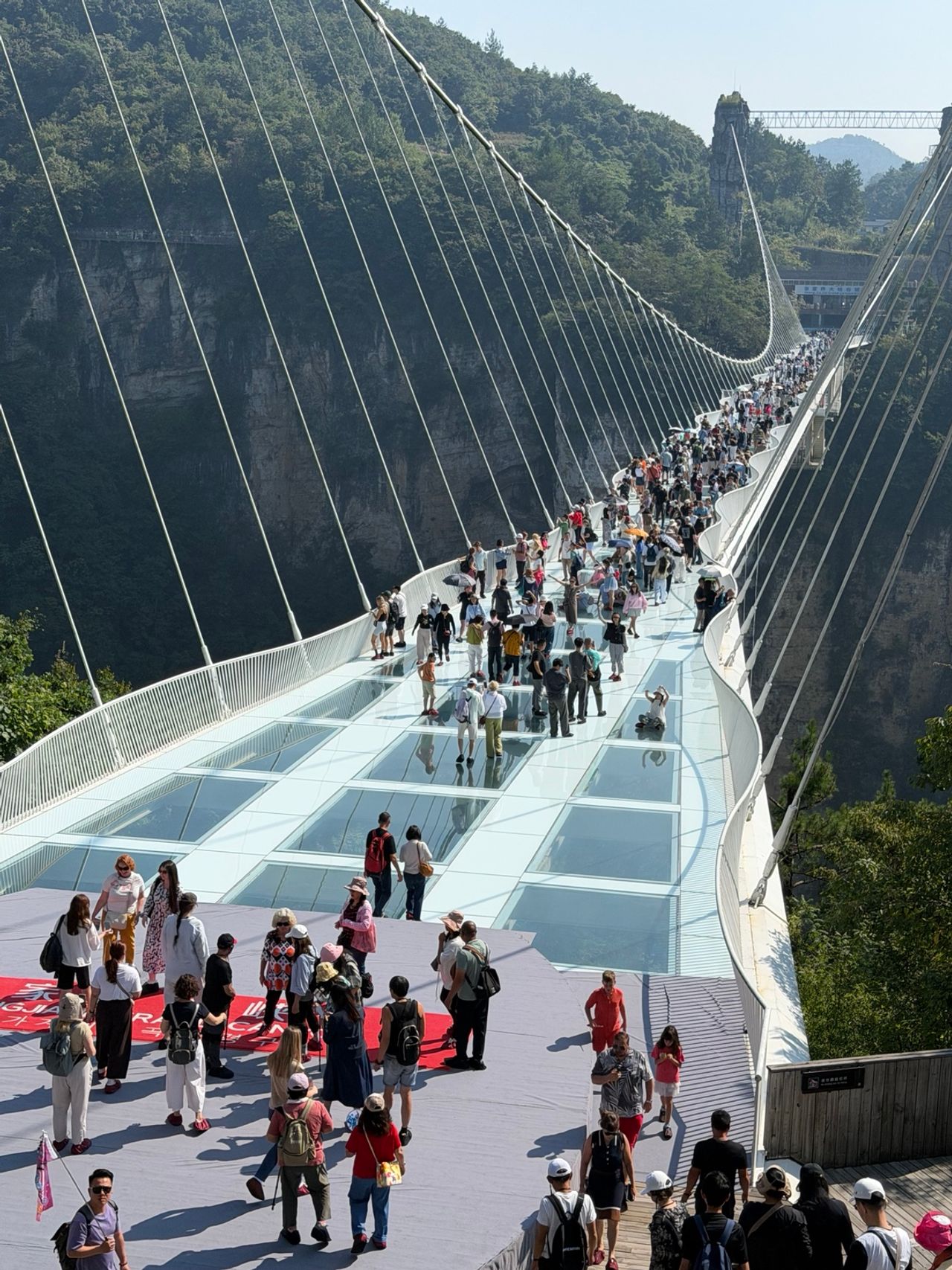 Perspective du Zhangjiajie Grand Canyon Glass Bridge suspendu au-dessus du canyon.