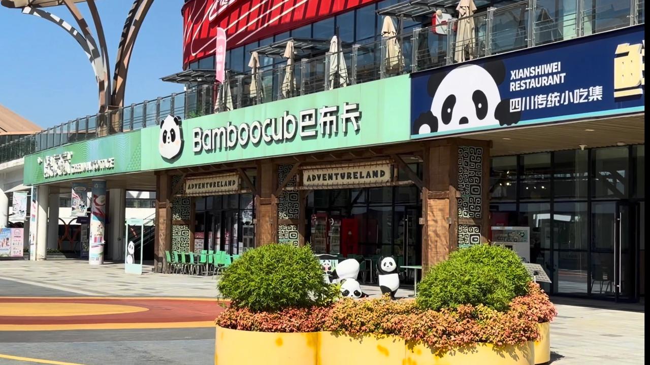 Panda géant photographié à Chengdu en 2026.