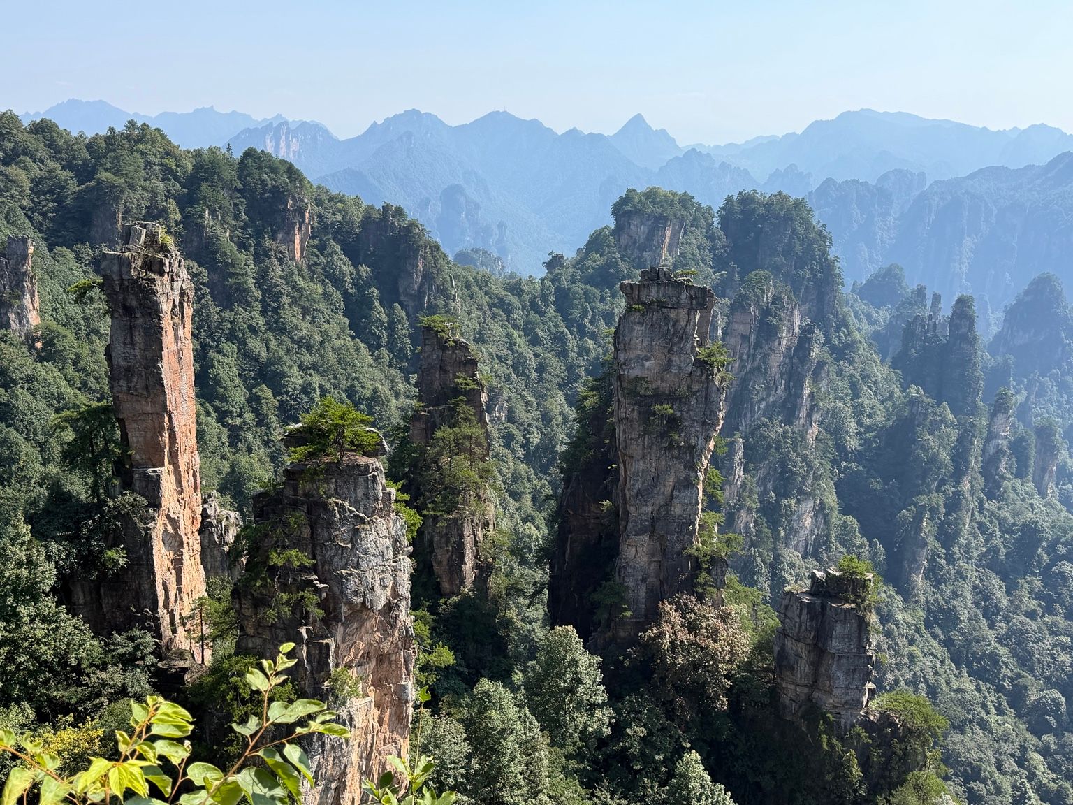 Panorama des piliers de grès quartzique de Wulingyuan à Zhangjiajie.