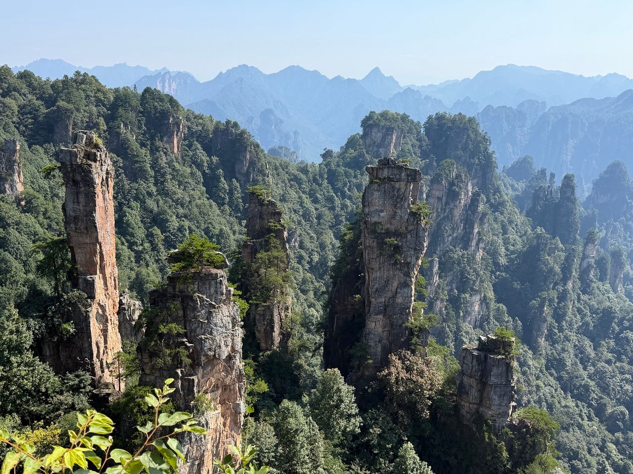 Panorama des piliers de grès quartzique de Wulingyuan à Zhangjiajie.