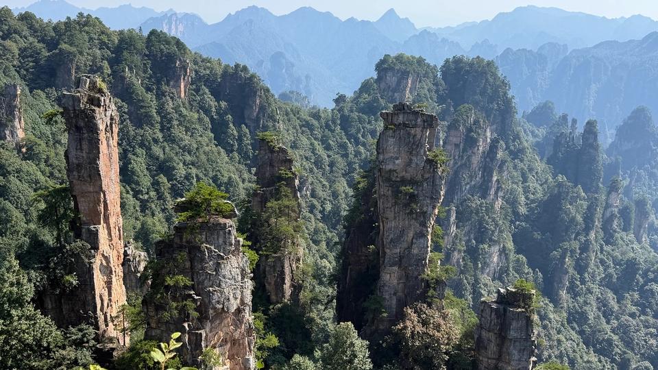 Panorama des piliers de grès quartzique de Wulingyuan à Zhangjiajie.