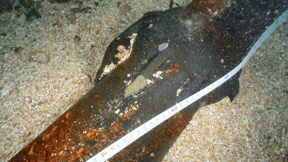 Gros plan sous-marin d’un câble noir posé sur un fond de coquillages, avec un ruban gradué servant d’échelle.
