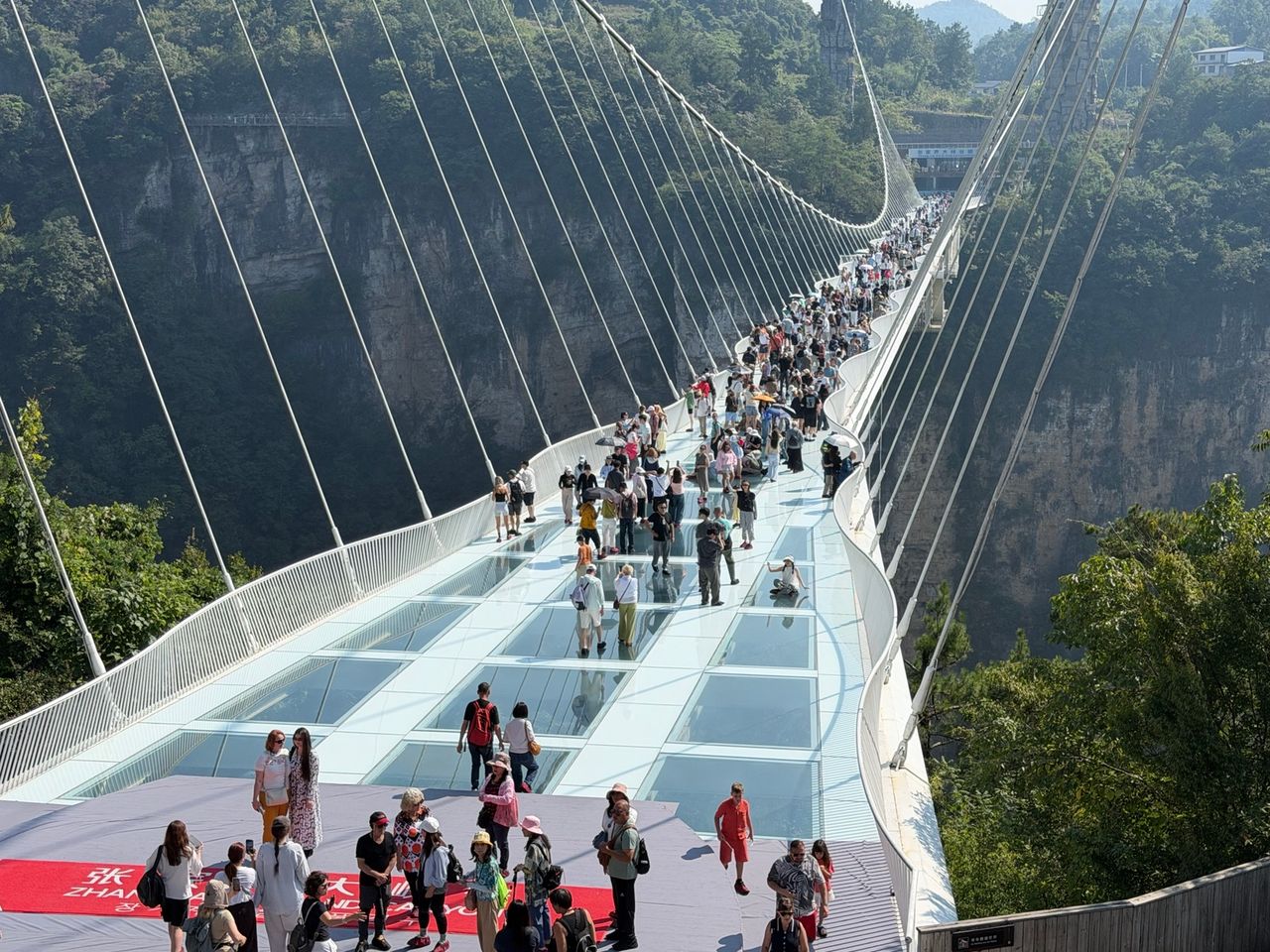 Vue large du Grand Canyon Glass Bridge entre les falaises de Zhangjiajie.