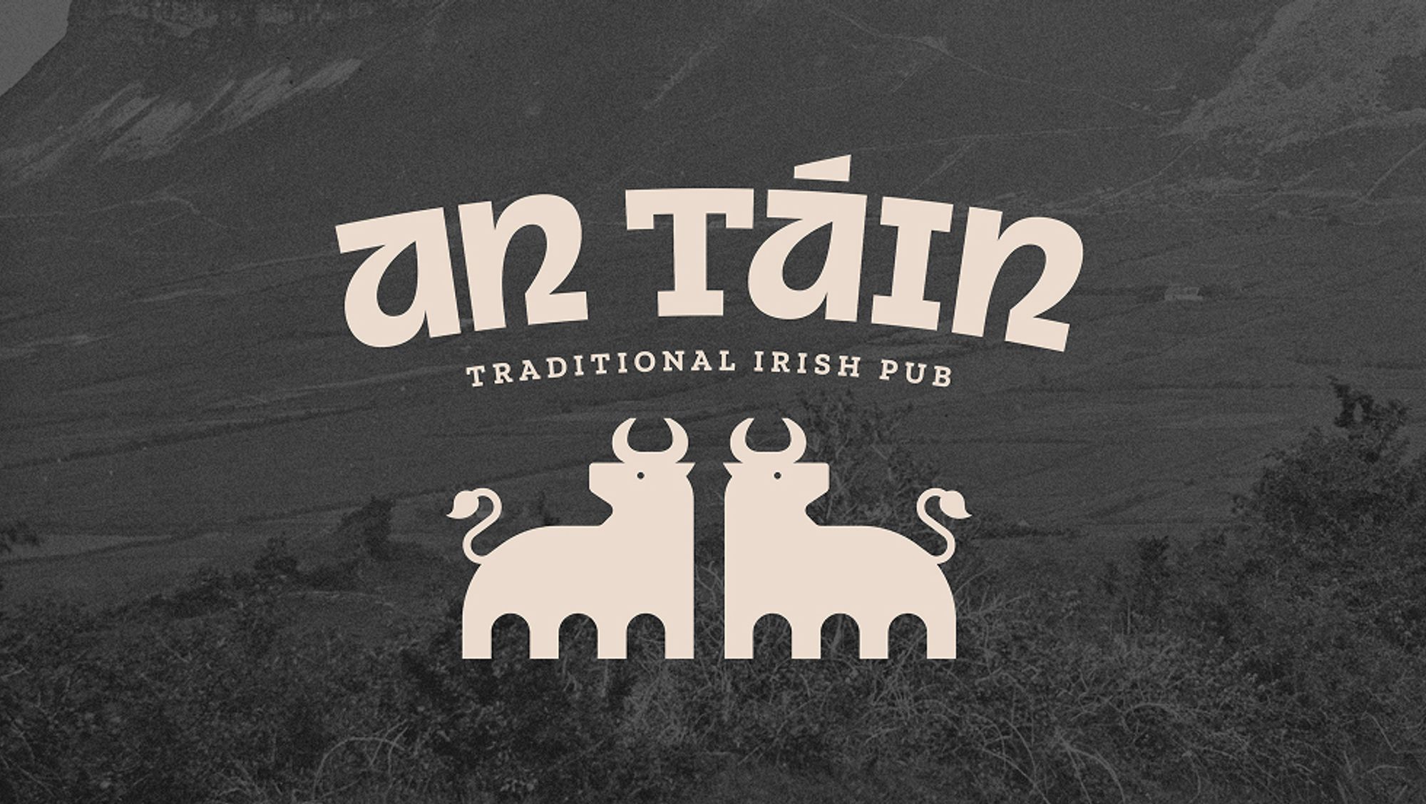 An Táin Pub