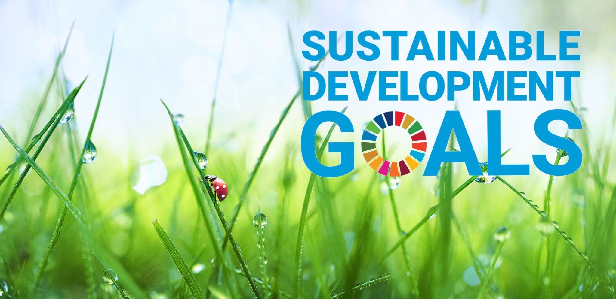 Slik kan IoT bidra til å oppnå FNs bærekraftsmål