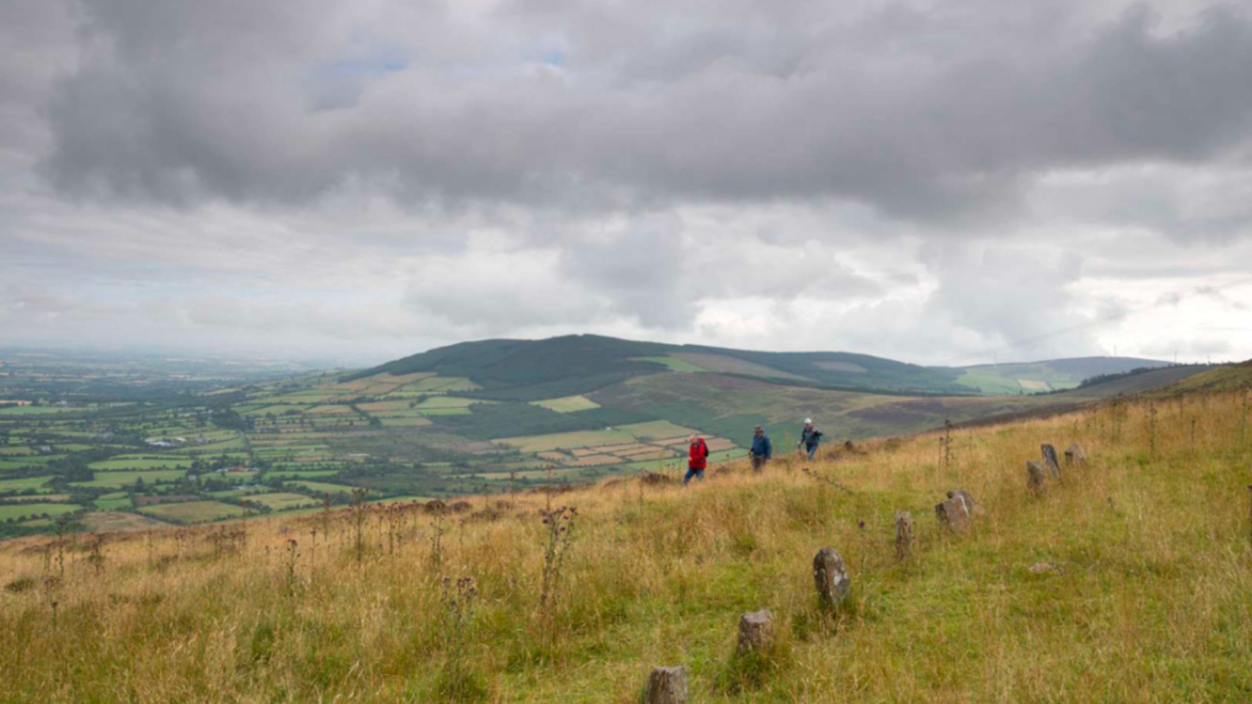 Carlow Hiking 