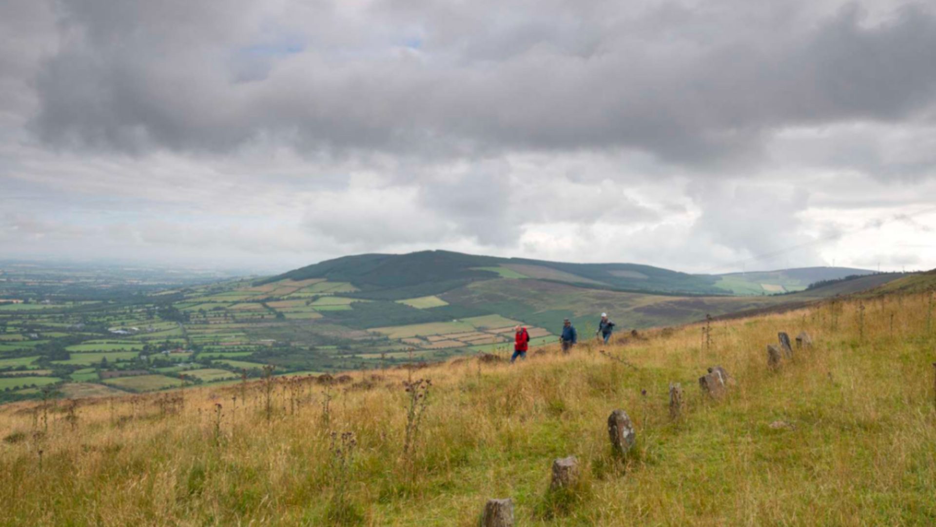 Carlow Hiking