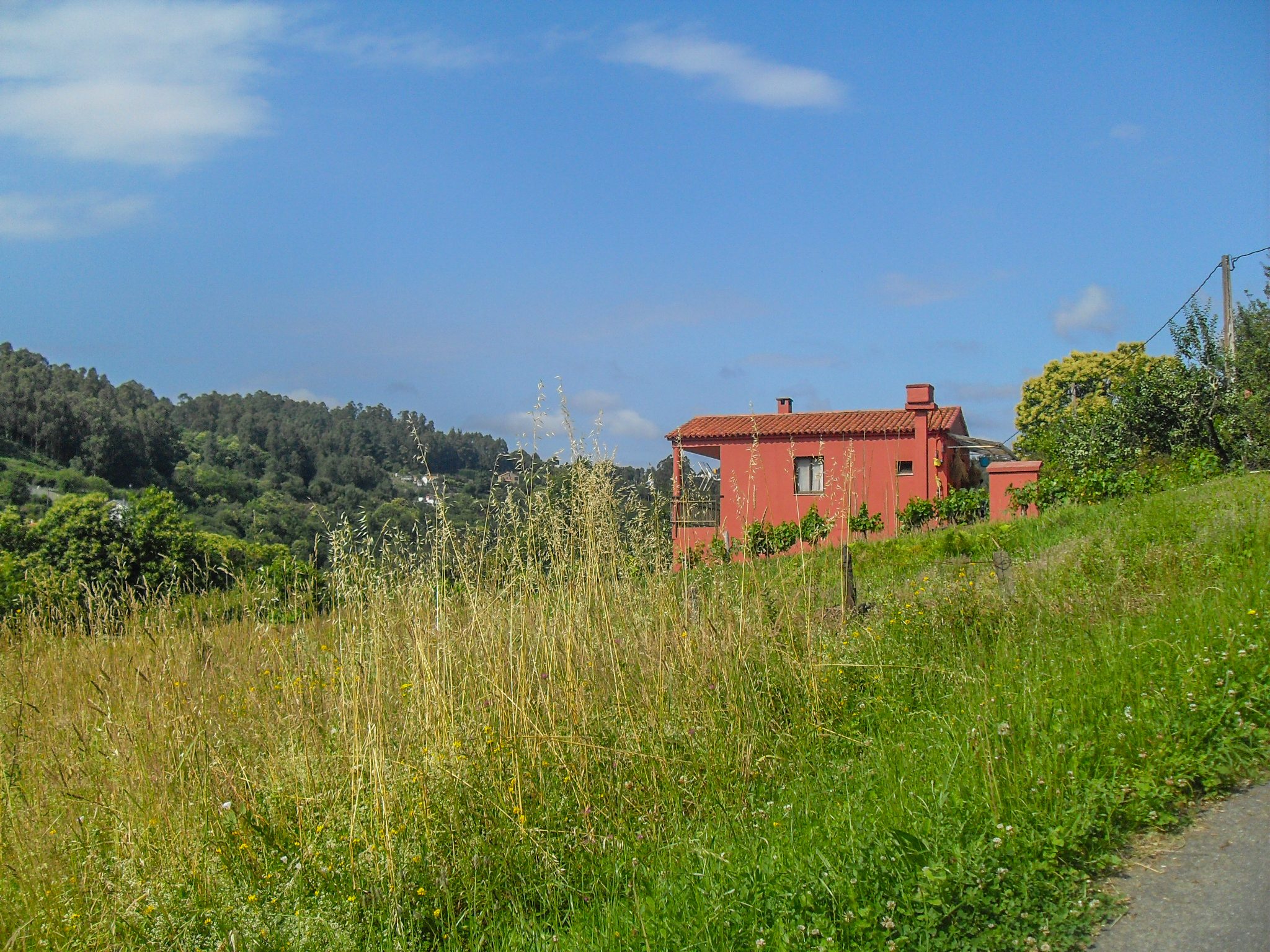 Camino routes alternative