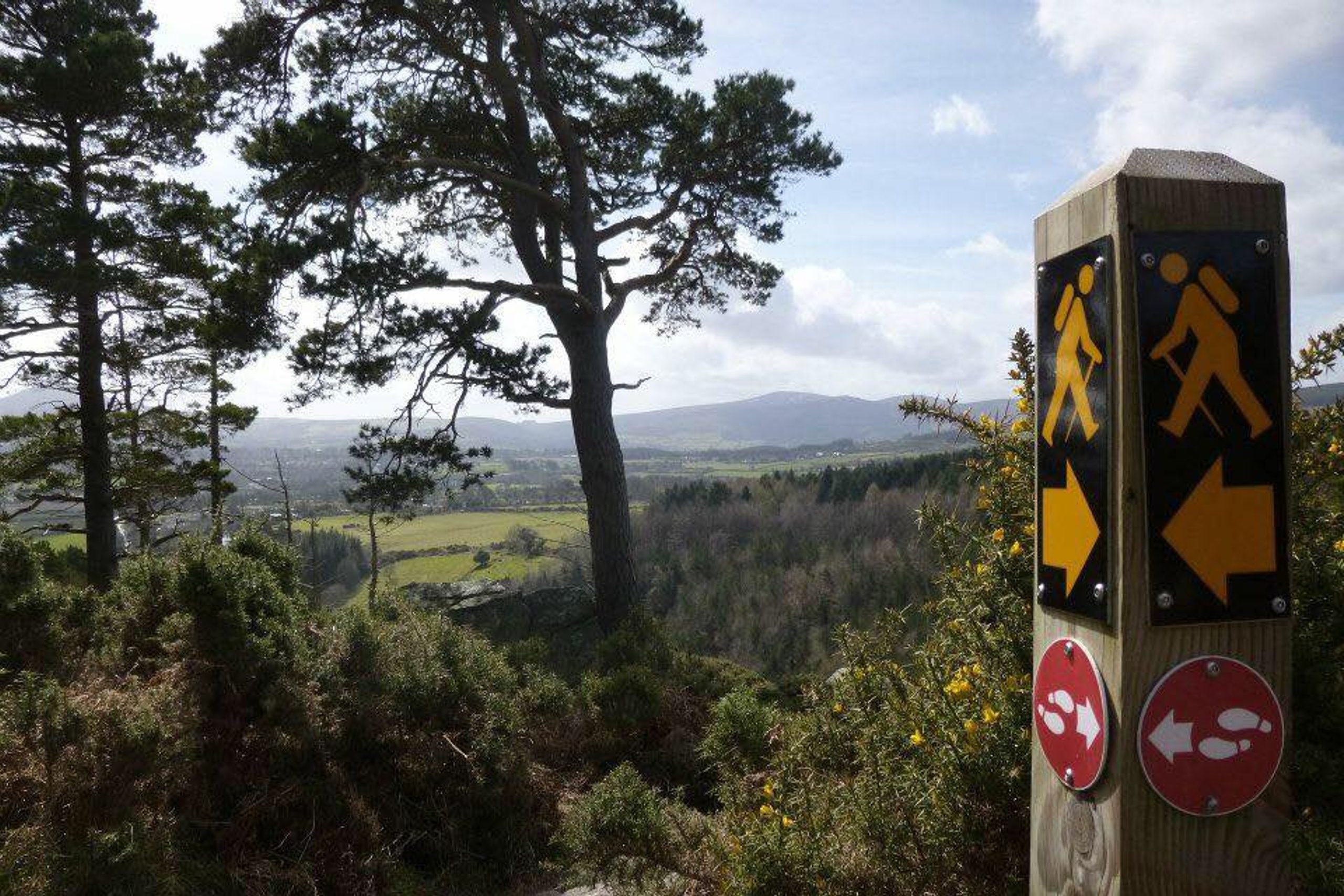 Dublin Mountains Partnership