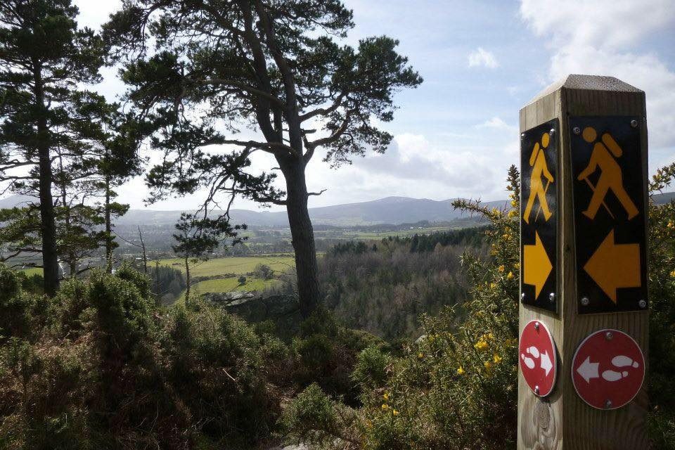 Dublin Mountains Partnership