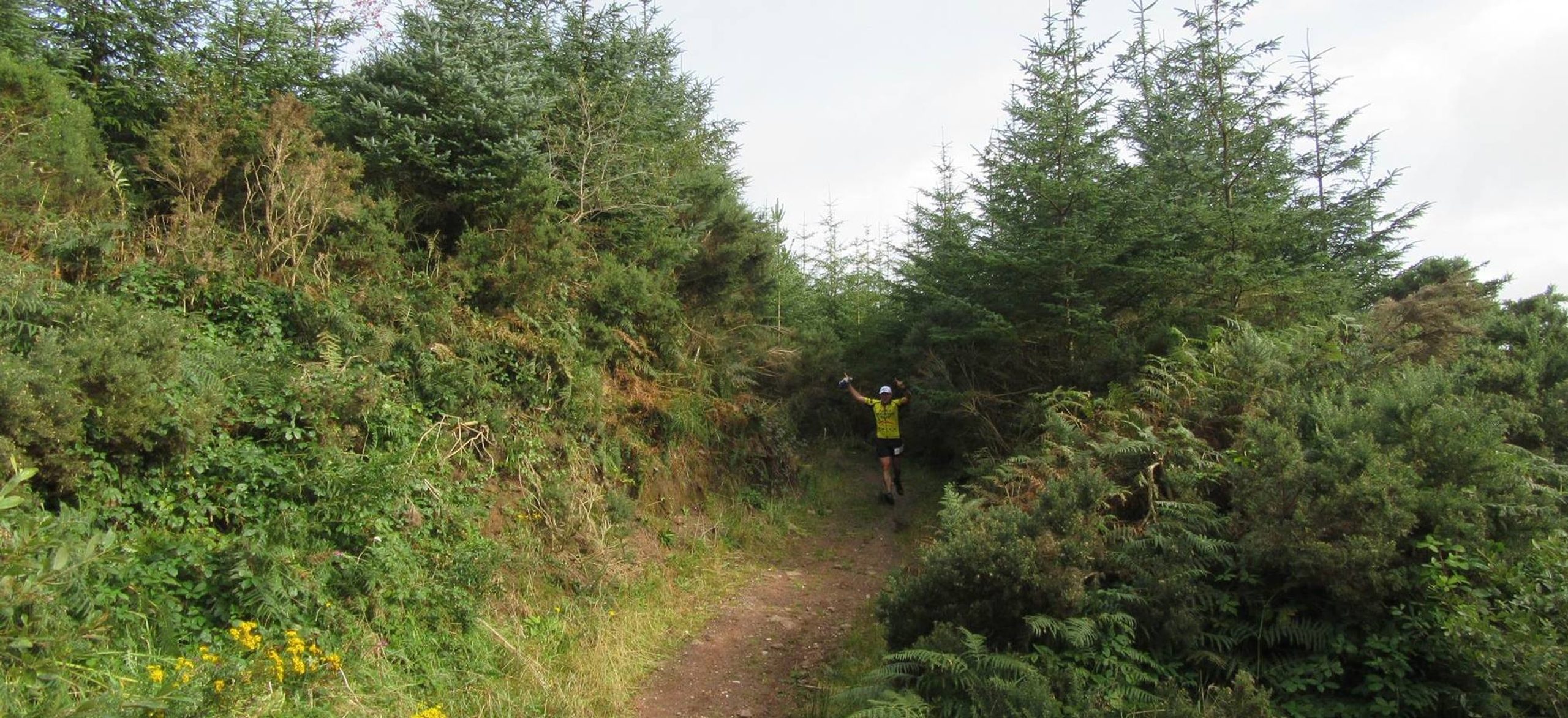 Trail Running Events in 2019