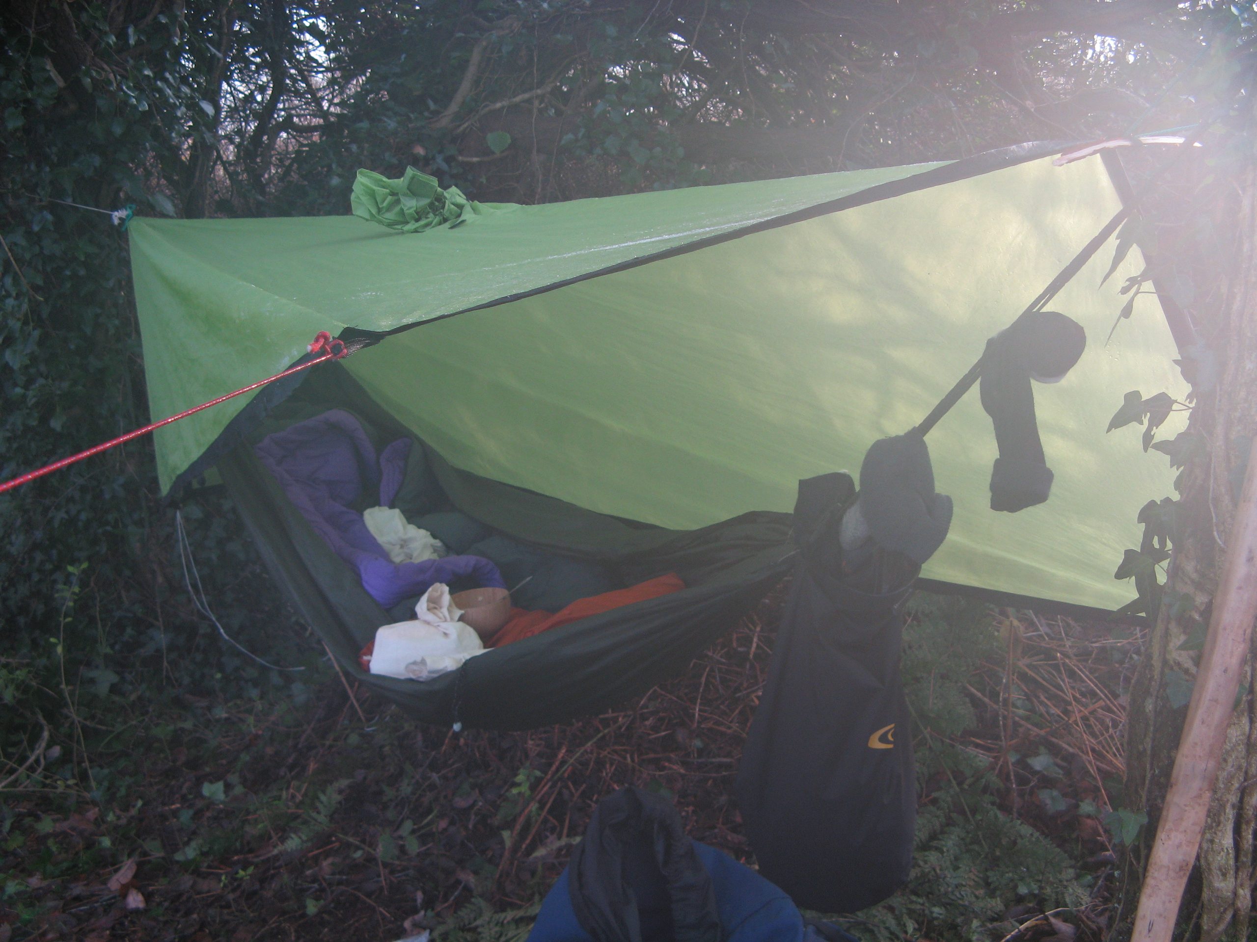 hammock biouvac near daingean