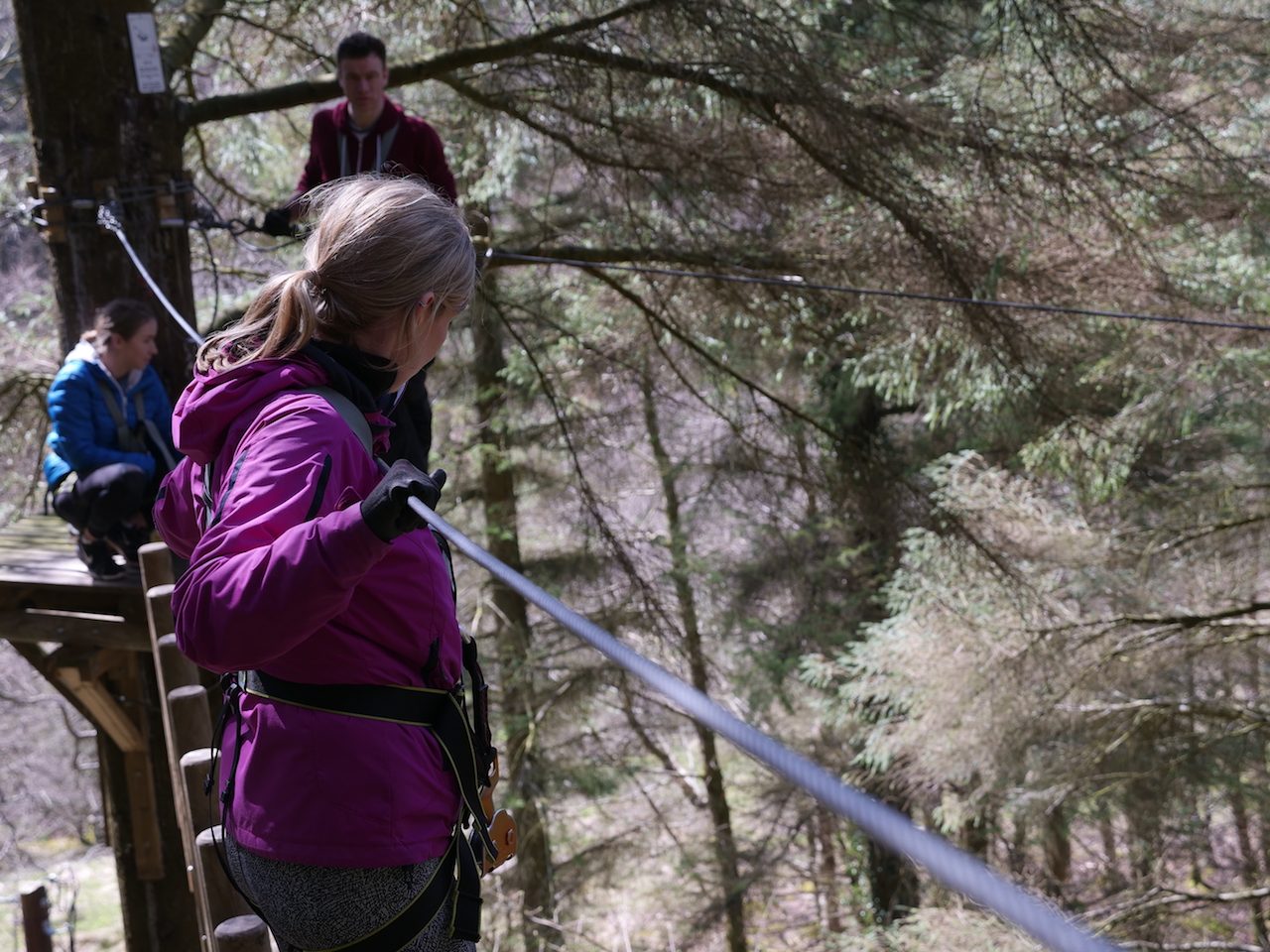 Tree-Top Adventures