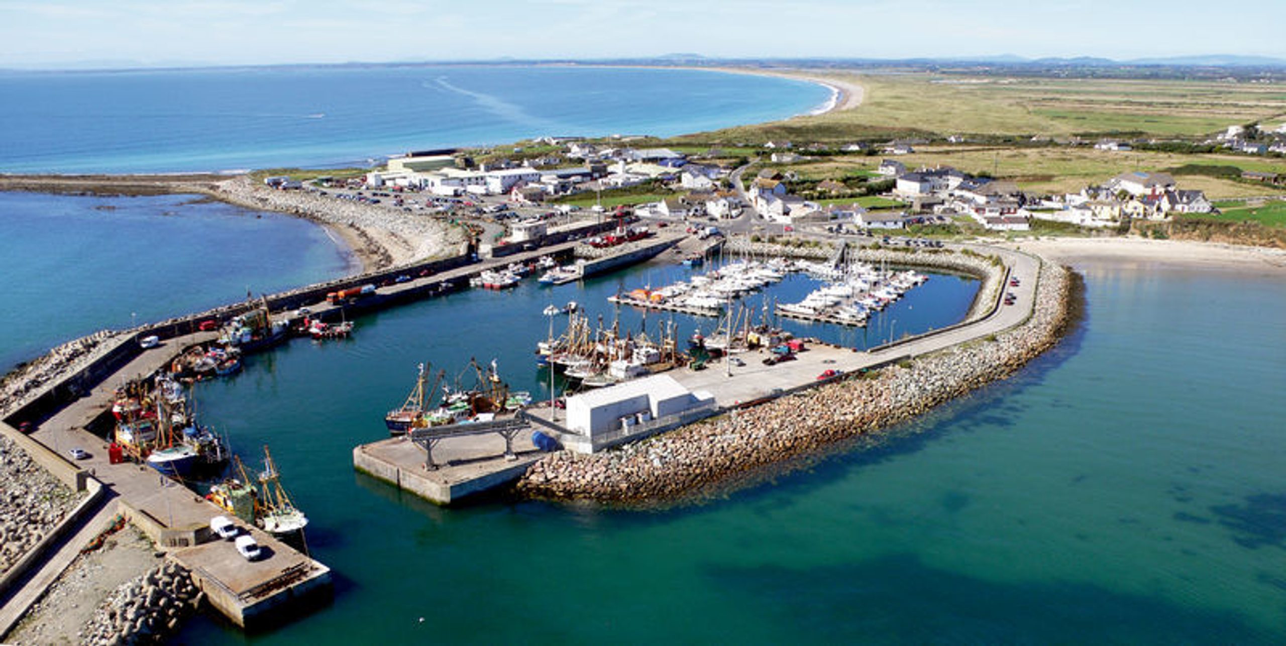 Wexford Waliks